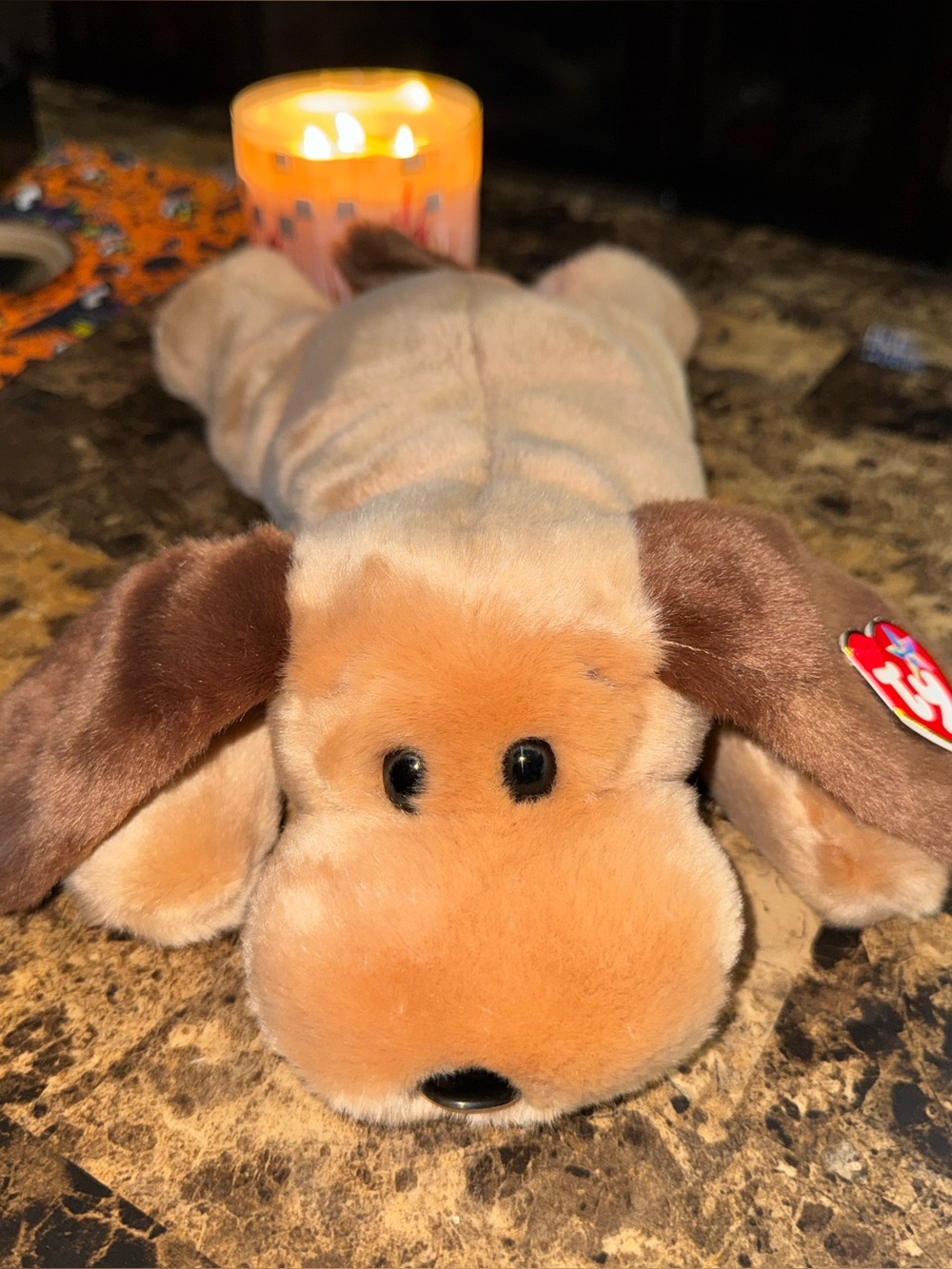 TY BEANIE BUDDY BONES THE DOG LARGE STYLE